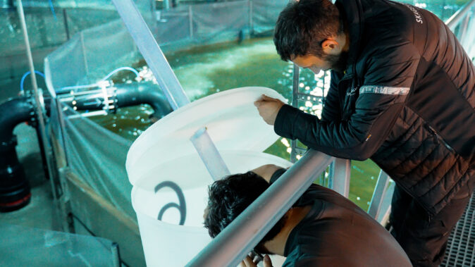 Two people handling euipment at a fish farming facility