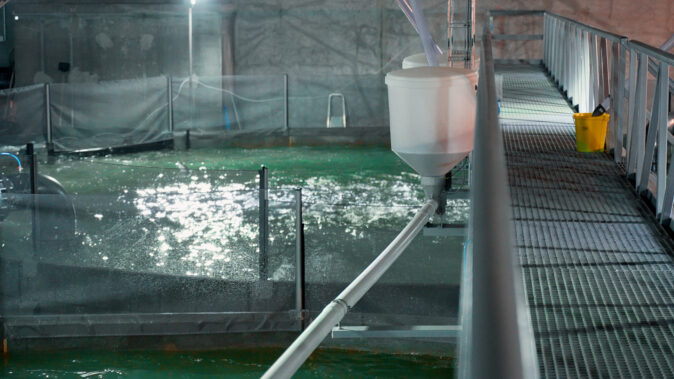 Fish feeding equipment at Skagen Salmon
