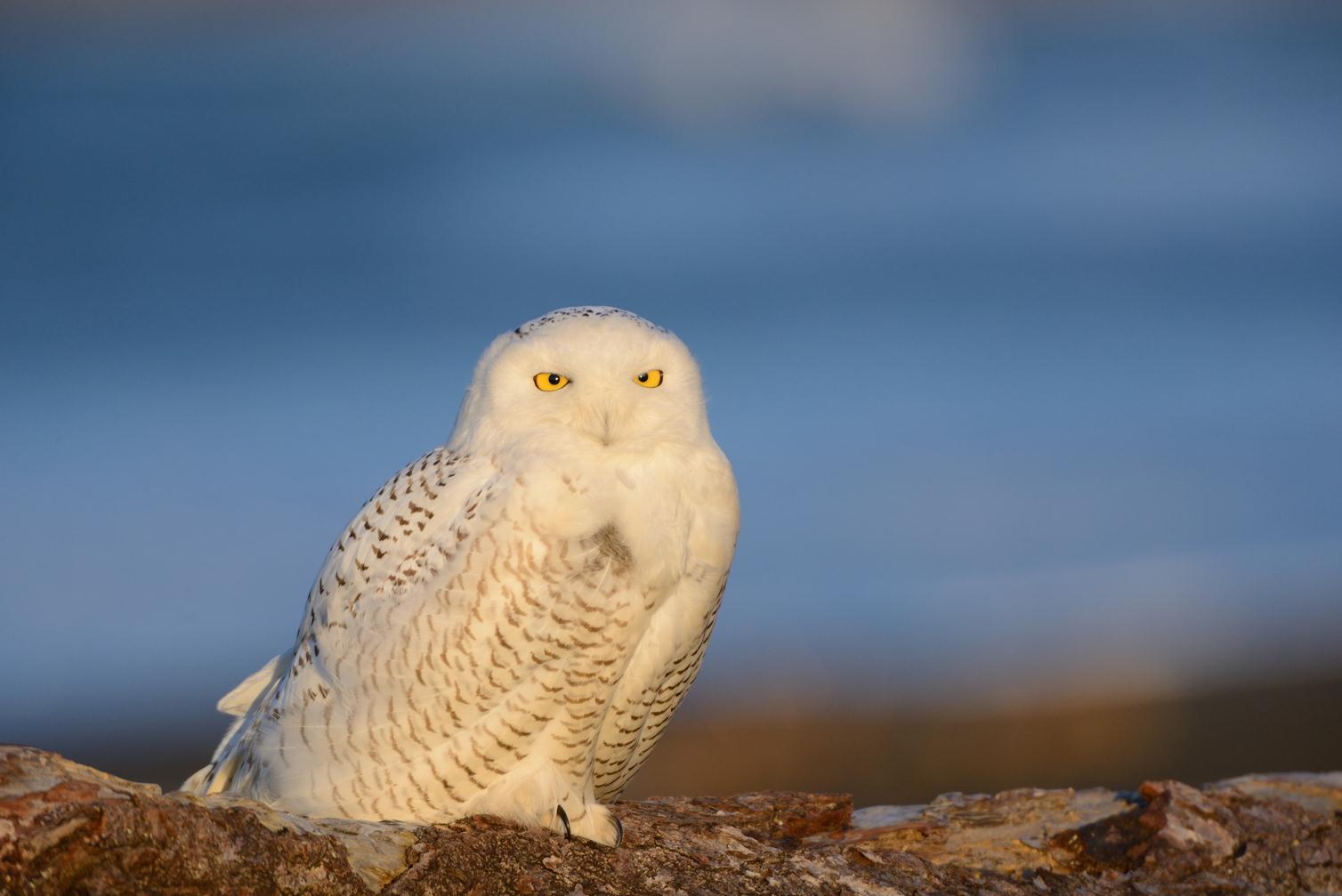 Customer logo for Test Customer Name